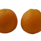 Hongos que crecen en naranjas