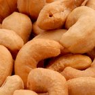 Facts About Cashews