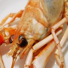 How to Prepare and Eat Raw Shrimp