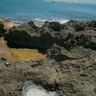 Difference Between Rock Salt and Sea Salt