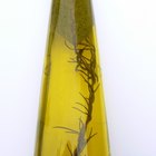 Which Olive Oil Is Best to Fry With?