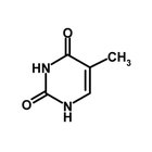 Características de los ácidos nucleicos