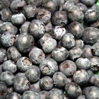The Best Way to Freeze Blueberries