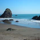 Marriage Proposal Ideas in Oregon