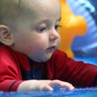 How Can I Get My Child Care Provider's EIN?