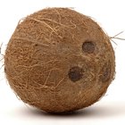 How to Use Coconut Oil for Dry Hair
