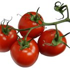 How do I Make Chili With Roma Tomatoes?