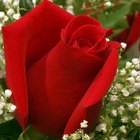 Romantic Ideas to Do for Your Spouse for a 5th Wedding Anniversary