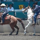 Las 5 ciudades más grandes de Texas