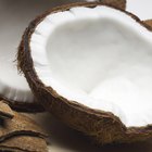 What Is the Difference Between Coconut Oil & Coconut Butter?