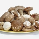 What Seasonings Taste Good on Mushrooms?