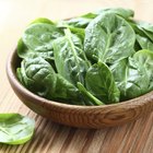 10 Top Foods You Should Eat Every Day