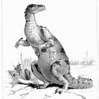  Similitudes entre los dinosaurios y las lagartijas
