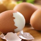 High-Protein Lunch Foods