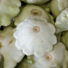 How to Prepare Peter Pan Squash