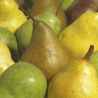 How Do I Prepare Pears for Freezing?