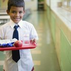 What Is the Nutritional Value of an Average School Lunch?