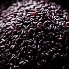 What Is Black Rice Good For?