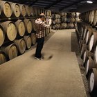 Taste Differences in Single-Malt vs. Blended Scotch