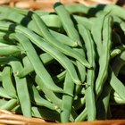 Green Bean Nutrition