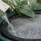 Uses of Rain Water