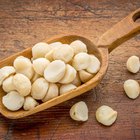 How to Keep Macadamia Nuts Fresh