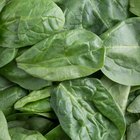 How to Cook Spinach in the Oven