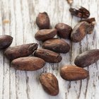Facts on Cocoa Butter