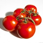 How to Get Rid of Blackheads With Tomatoes