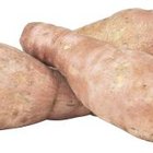 How to Prepare Sweet Potatoes for Dog Treats