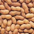 Health Benefits of Raw Peanuts
