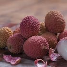Is There an Easy Way to Peel Lychee?