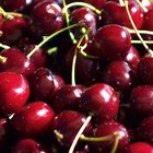 What Is a Good Substitute for Cherries?