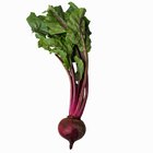 How to Tell When Fresh Beets Are Done Cooking