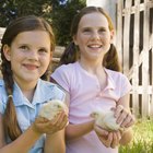 How to Dye Baby Chickens