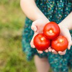 8 Healthiest Foods to Eat Every Day
