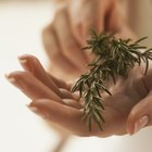 Herbal Remedies to Clean the Scalp