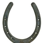 How to Make a Horseshoe Centerpiece