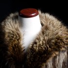 Animals Used to Make Fur Coats