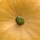 Can You Make a Pumpkin Roll With a Cake Mix?