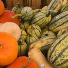 How to Get Juice & Pulp From Squash