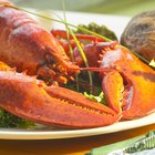 Cooking Time for Atlantic Lobster