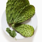 How to Cook Mexican Cactus (Nopales)