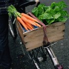 Do Carrots and Lettuce Have Carbohydrates?