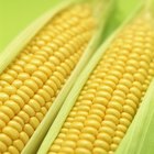 What Goes With Cream-Style Corn?