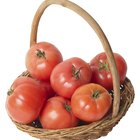 How to Neutralize a Tomato Taste in Cooking