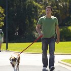 How to Train a Dog to Stay by Your Side | Dog Care - Daily Puppy