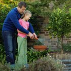 Is Tap or Rain Water Better for Plants?