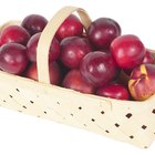 How to Freeze Whole Peaches & Plums