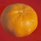 Baking Pork Loin Chops With Mandarin Oranges